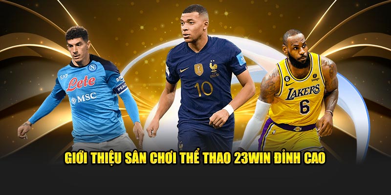 gioi-thieu-san-choi-the-thao-23win-dinh-cao-1